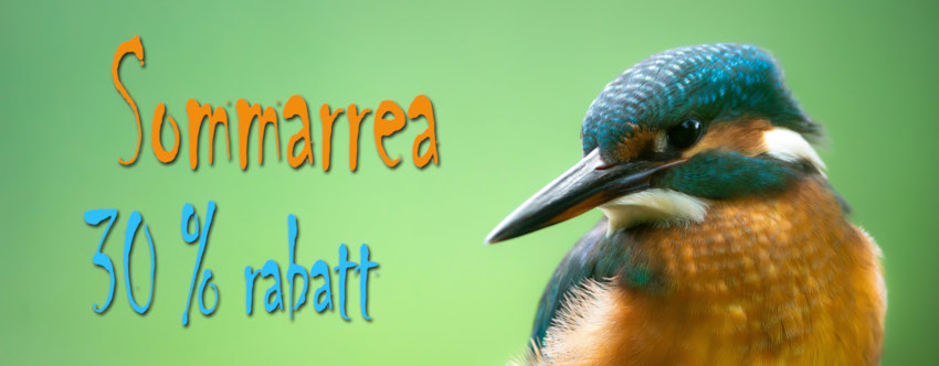 Sommarrea