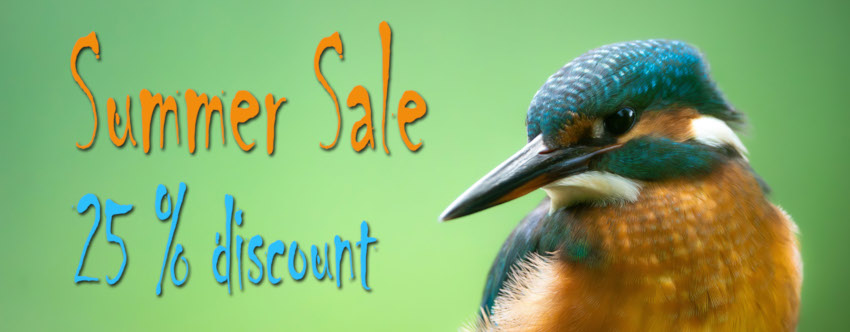 Summer Sale