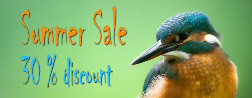 Summer Sale